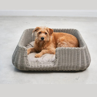 Keskikokoinen ruskea koira lepää harmaassa rottinkisessa koiranpedissä pehmeän tyynyn päällä