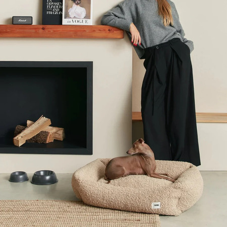 Pieni koira makaa beigessä koiran pedissä modernissa olohuoneessa takan edessä