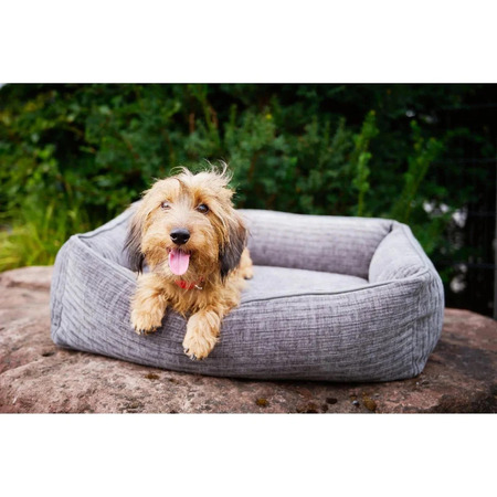 Pieni karvainen koira makaa harmaassa koiran pedissä ulkona kiven päällä