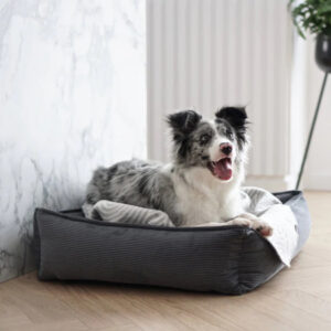 Iso harmaa-valkoinen koira makaa harmaassa koiran pedissä vaalealla lattialla marmorseinän vieressä