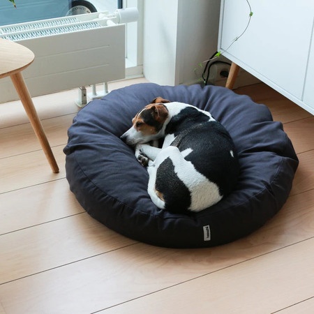 Valko-musta koira nukkuu pyöreässä harmaassa koiran pedissä vaalealla puulattialla