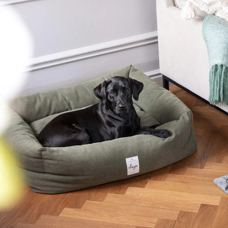 Musta labradorinnoutaja makaa vihreässä koiran pedissä olohuoneessa