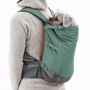 Pieni koira istuu vihreässä kantorepussa omistajan selässä