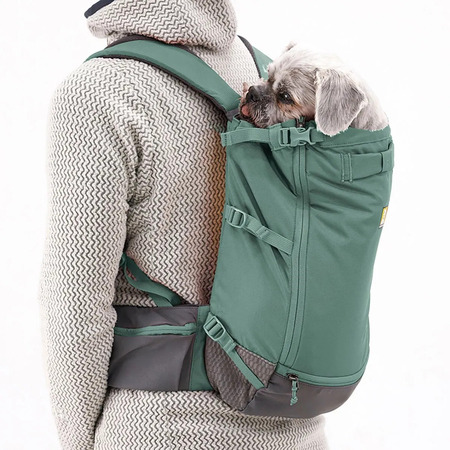 Pieni koira istuu vihreässä kantorepussa omistajan selässä