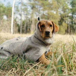 Kuvassa ruskea koira makaa ruohikolla yllään harmaa pehmeä takki, jossa on huppu ja kiristysnauha.