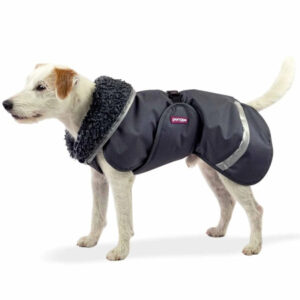 Kuvassa valkoinen koira harmaassa talvitakissa, jossa on pehmeä karvareunus ja heijastavat yksityiskohdat