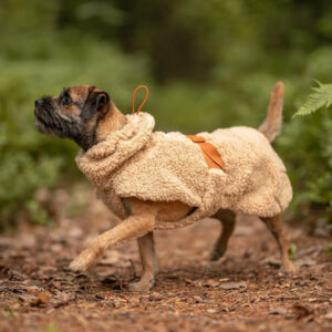 Kuvassa pieni ruskea koira kävelee metsäpolulla yllään pehmeä beige fleece-takki, jossa on huppu ja nahkainen kiinnitys.