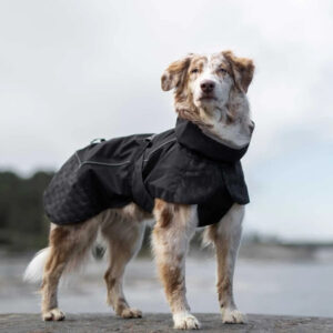 Vaaleaturkkinen koira mustassa sadetakissa seisoo rantakalliolla.