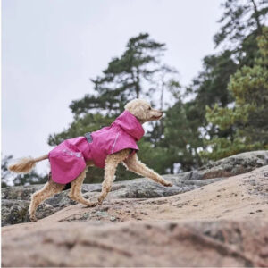 Vaaleanpunainen sadetakkiin pukeutunut koira kiipeämässä kallioisessa metsämaastossa