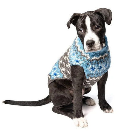 Kuvassa mustavalkoinen koira istuu yllään siniharmaa neule, jossa on valkoisia ja sinisiä kuvioita.