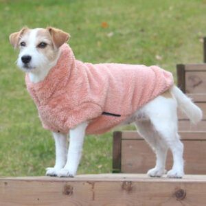 Kuvassa valkoinen ja ruskea koira seisoo puisella tasolla yllään vaaleanpunainen fleece-takki vihreällä pihalla