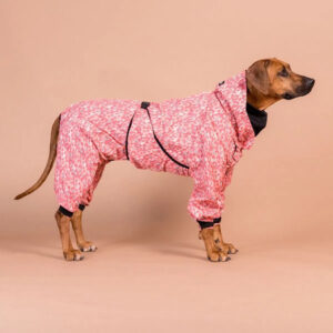 Kuvassa ruskea koira pukeutuneena vaaleanpunaiseen kuviolliseen sadehaalariin beigeä taustaa vasten