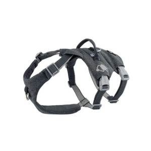 Harmaat koiranvaljaat, joissa on pehmustetut hihnat ja heijastavia yksityiskohtia.