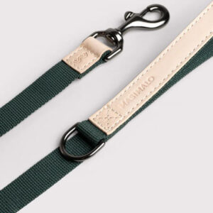 Vihreä koiran talutin, jossa vaaleat nahkayksityiskohdat ja musta metallilukko – laadukas ja kestävä talutushihna